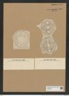 Auliscus caelatus var. mergens Rattr. (de-Toni-Nr.: Genus 171, Species 4362) Zeichnungen Sammlung Grunow Nr. 7930 (NHMW-BOT-W0377207)